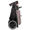 Carucior 2 in 1 Salsa 4 AIR Berry Pure ABC Design