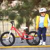 Bicicleta Copii 4-6 ani Galaxy G1601C 16", Rosu/Alb, Culoare: Rosu/Alb