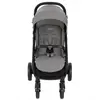 Carucior Graco EeZeFold Steeple Gray