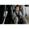 Scaun auto, Lionelo, Lavender I-size, Isofix, Cu centura TopTether, Cu spatar inclinabil in 5 pozitii, Cu tetiera reglabila in 13 pozitii, Instalare cu fata inainte, 9-36 Kg, 76-150 cm, Conform cu ECE R129, Bej, Culoare: Gri