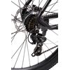 Bicicleta MTB Carpat Invictus C2957C 29", Negru/Gri