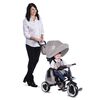 Tricicleta pliabila Qplay Rito+ Gri, Culoare: Gri