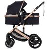 Carucior Chipolino Amore 3 in 1 noir, Culoare: Negru