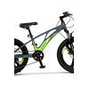﻿Bicicleta Copii MTB Carpat 20" C20343A, Gri/Verde