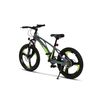 ﻿Bicicleta Copii MTB Carpat 20" C20343A, Gri/Verde