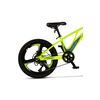 ﻿Bicicleta Copii MTB Carpat 20" C20343A, Verde/Gri, Culoare: Gri/Galben