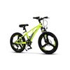 ﻿Bicicleta Copii MTB Carpat 20" C20343A, Verde/Gri, Culoare: Gri/Galben