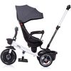 Tricicleta Chipolino Pegas cu sezut reversibil anthracite, Culoare: Gri inchis