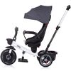 Tricicleta Chipolino Pegas cu sezut reversibil anthracite, Culoare: Gri inchis
