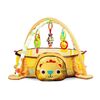 Salteluta de joaca cu bile Ecotoys 88969 Leu