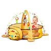 Salteluta de joaca cu bile Ecotoys 88969 Leu