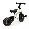Tricicleta 4 in 1 cu pedale detasabile, Ecotoys YM-BB-6 - Alb