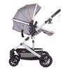 Carucior Chipolino Estelle 2 in 1 glacier, Culoare: Gri
