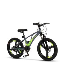 ﻿Bicicleta Copii MTB Carpat 20" C20343A, Gri/Verde