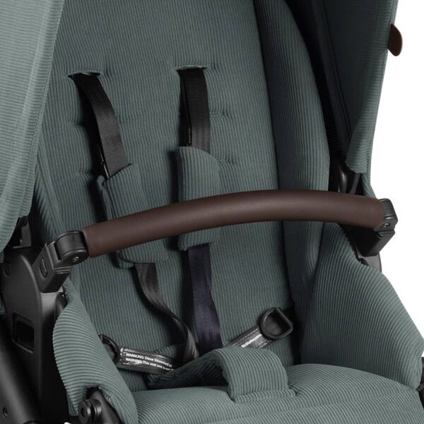 Carucior 2 in 1 Salsa 4 AIR Aloe ABC Design