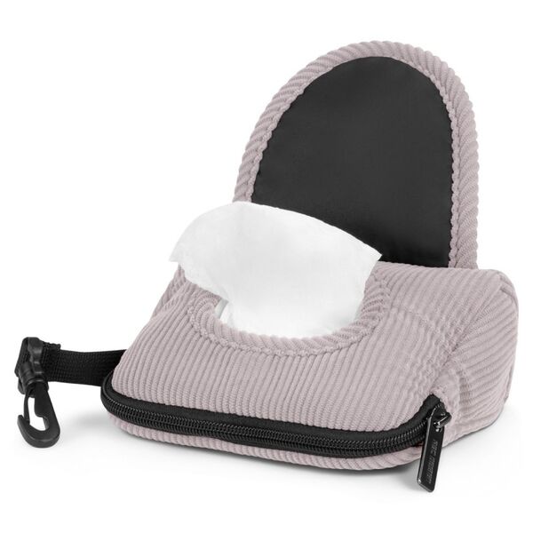 Carucior 2 in 1 Salsa 4 AIR Biscuit ABC Design