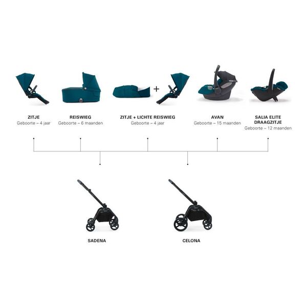 Sasiu Negru pentru Carucior Sadena