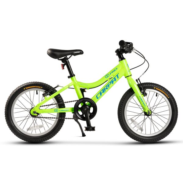 ﻿Bicicleta Copii 4-6 ani Carpat C16208C 16", Verde/Albastru, Culoare: Verde/Albastru