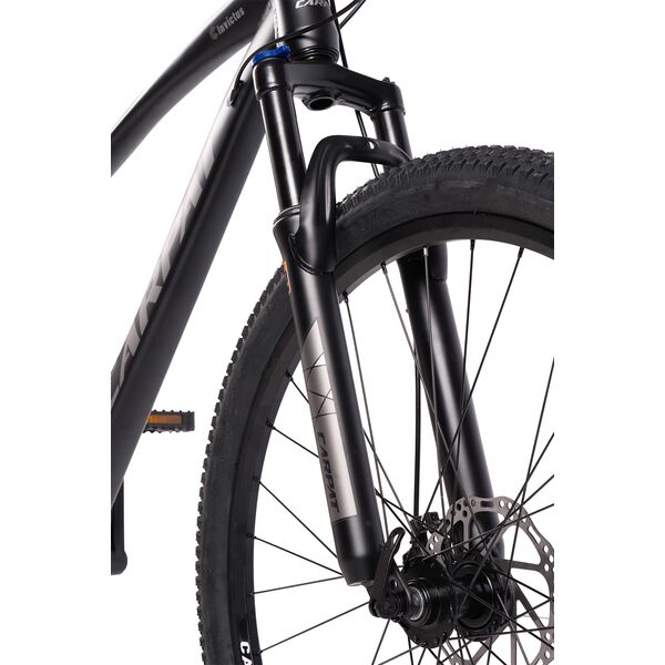 Bicicleta MTB Carpat Invictus C2957C 29", Negru/Gri