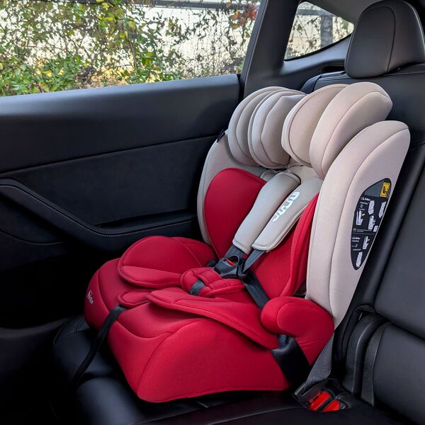 Scaun Auto Juju Safe Rider, Bej-Bordo, Culoare: Bej-Bordo