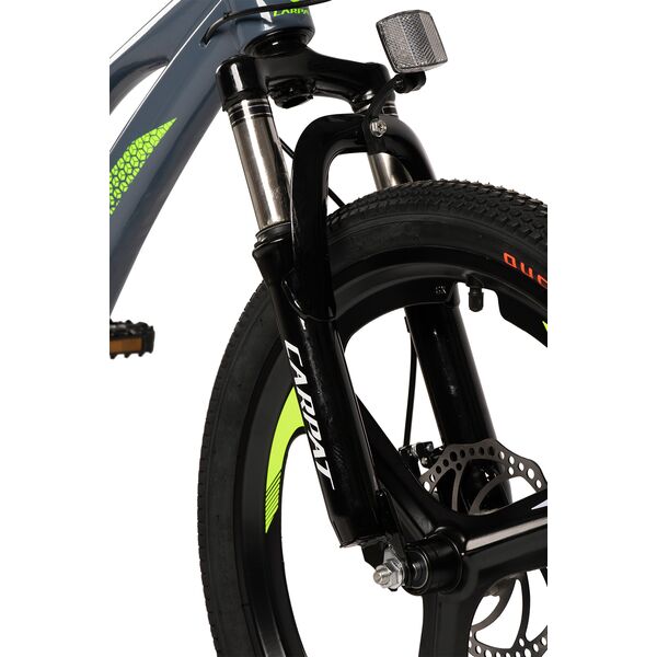 ﻿Bicicleta Copii MTB Carpat 20" C20343A, Gri/Verde