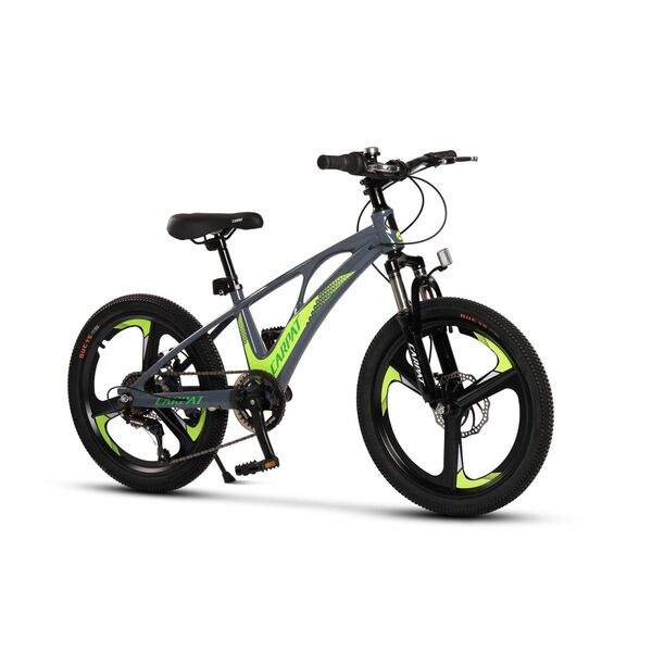 ﻿Bicicleta Copii MTB Carpat 20" C20343A, Gri/Verde