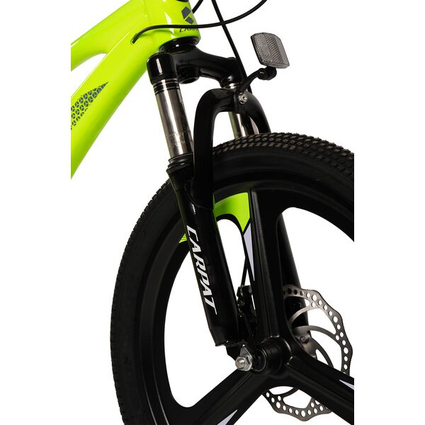 ﻿Bicicleta Copii MTB Carpat 20" C20343A, Verde/Gri, Culoare: Gri/Galben