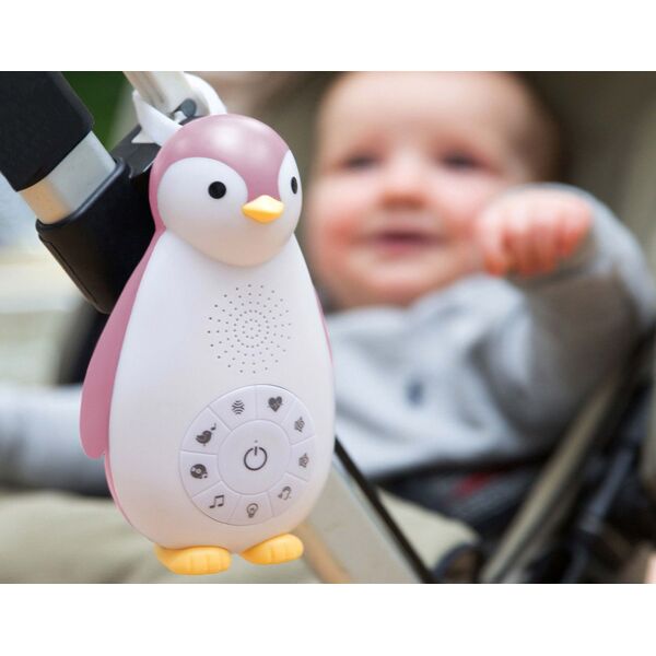 Jucarie Muzicala si Lampa de Veghe Zazu Zoe Roz