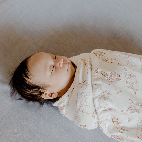 Sistem de Infasare Ergobaby Safari