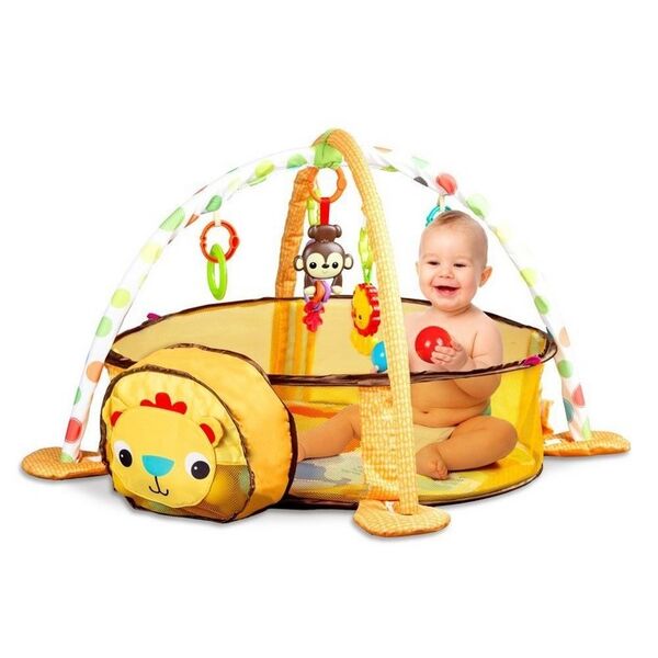 Salteluta de joaca cu bile Ecotoys 88969 Leu