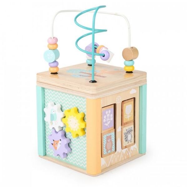 Cub educational din lemn cu labirint si sortator Ecotoys HM015472